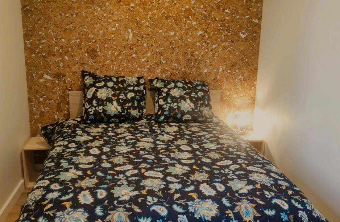 Appartements - Halles Brauhauban Tarbes Zewnętrze zdjęcie